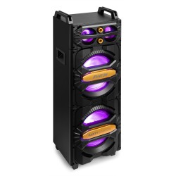 LIVE2102 Partystation 2x10"