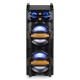 LIVE2102 Partystation 2x10"