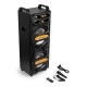 LIVE2102 Partystation 2x10"