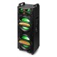 LIVE2102 Partystation 2x10"