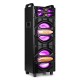 LIVE2102 Partystation 2x10"
