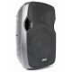 Altavoz autoamplificado AP-1000ABT MP3