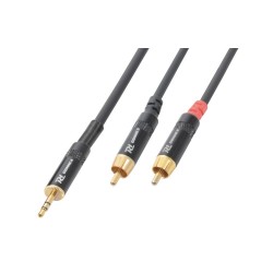 Cable 3.5 estéreo - 2 x RCA macho, 3m