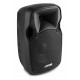 MX700 Sistema activo 2.1 de 12" MAX