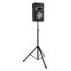 BS-10 Bafle pasivo 10" con LED Fenton