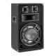 BS-12 Bafle pasivo 12" con LEDs Fenton