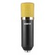 CM400 Conjunto micrófono de estudio de condensador oro Vonyx